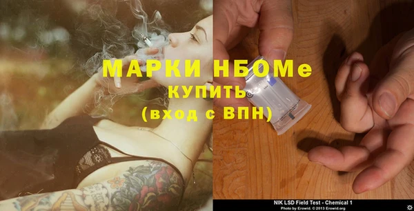 гашик Ладушкин