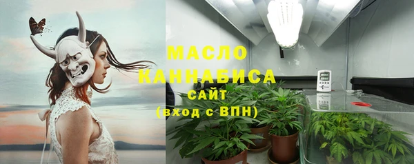 гашик Ладушкин