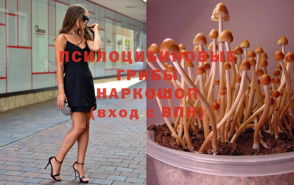 молекула духа Лихославль