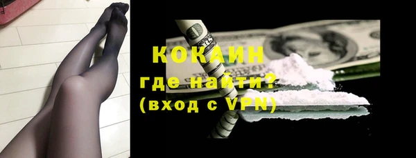 гашик Ладушкин