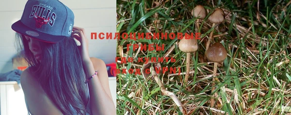 молекула духа Лихославль