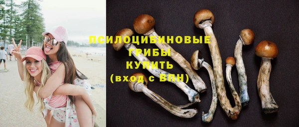 молекула духа Лихославль
