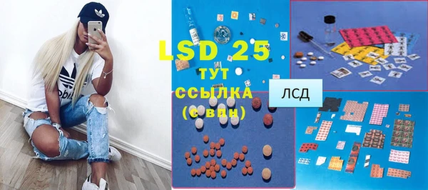гашик Ладушкин