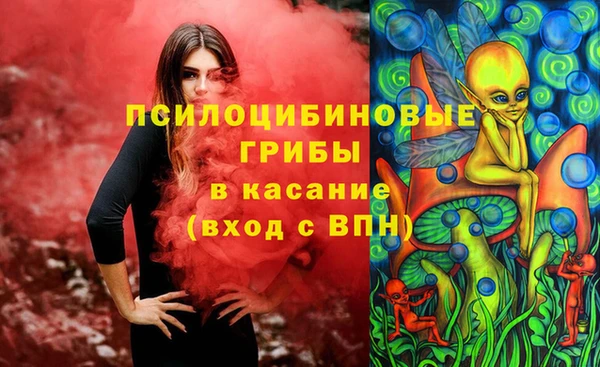 гашик Ладушкин