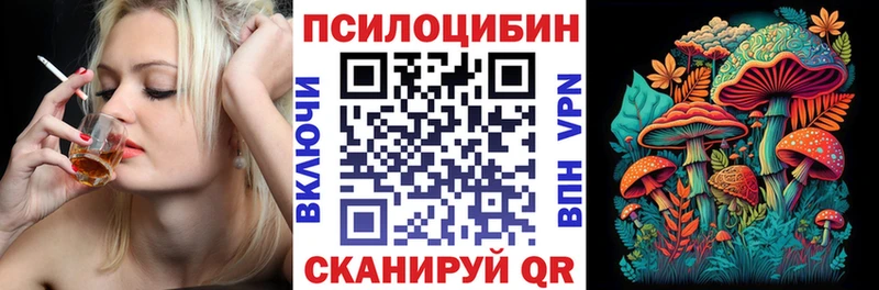 что такое   Тула  Галлюциногенные грибы Psilocybe 